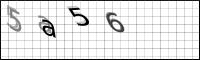 Captcha Bild